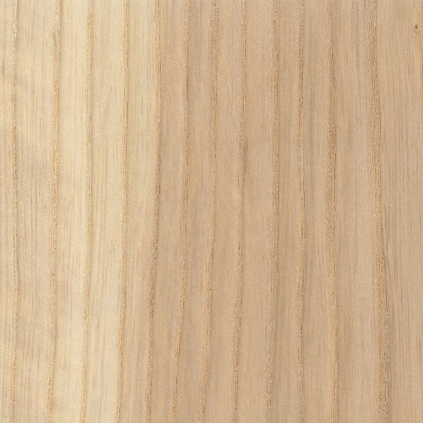 Ashwood texture wood sample