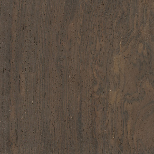 Leadwood texture wood sample