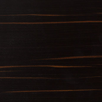 Ebony texture wood sample