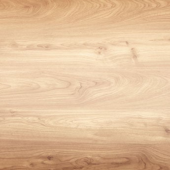 Maple texture wood sample