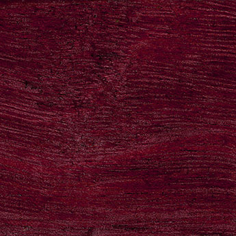Purplehearth texture wood sample