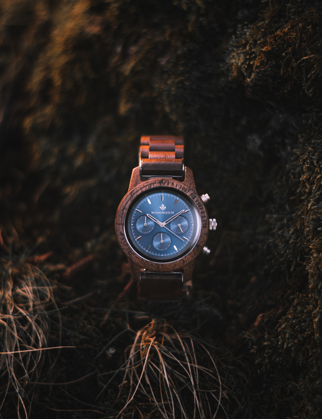 The WoodWatch Story