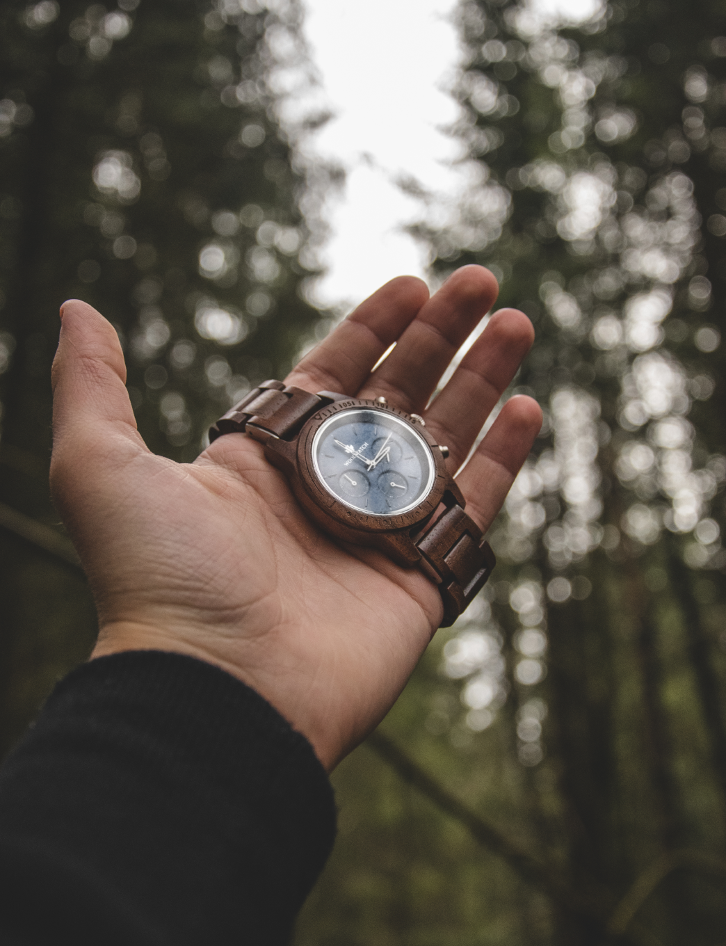 The WoodWatch Story