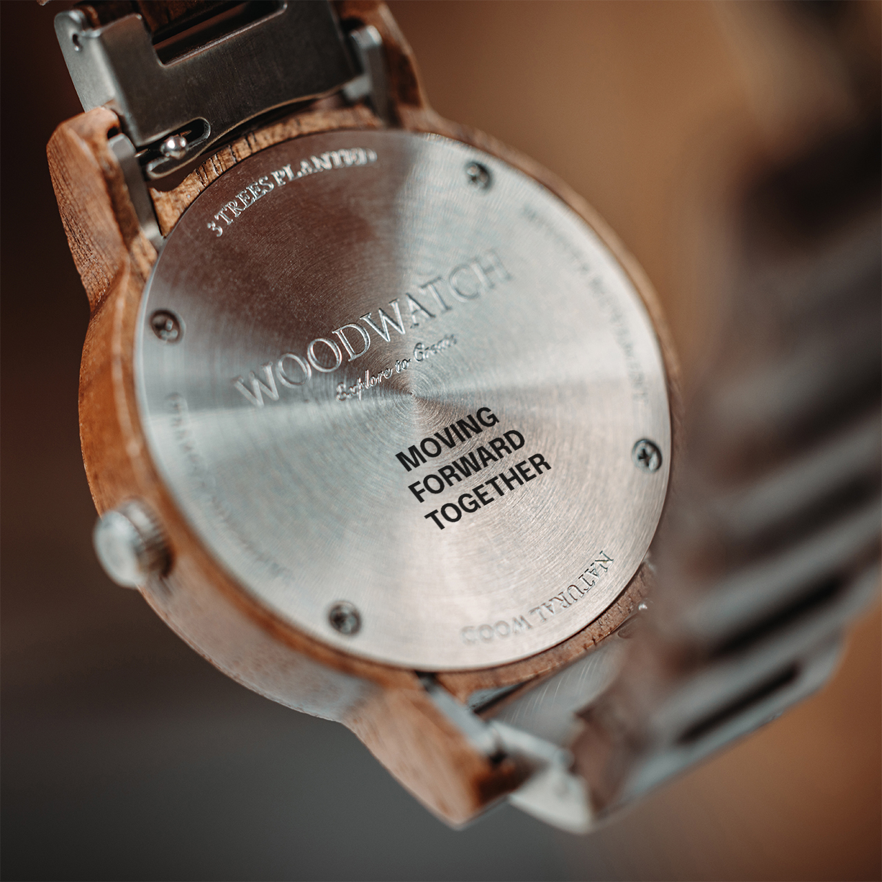 The WoodWatch Story